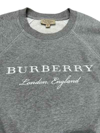 Taydon Embroidered Logo Grey Sweatshirt — thumbnail 3