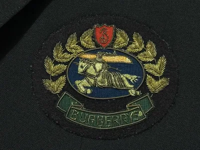 Pure Wool Crest Logo Blazer with Golden Buttons — thumbnail 5